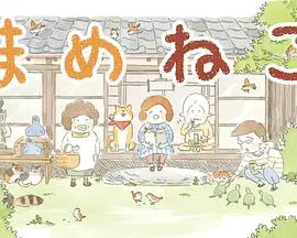 《豆豆猫》：喵星人的奇幻冒险之旅，萌翻全球！