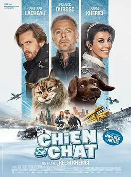 《猫狗大乱斗》：萌宠特工队，喵星人和汪星人的爆笑谍战