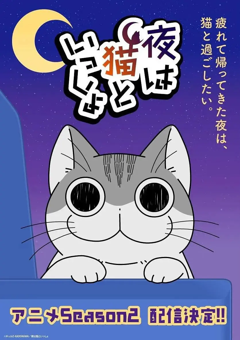 《关于养猫我一直是新手 第二季》：新手铲屎官进阶之路，萌猫日常欢乐多！